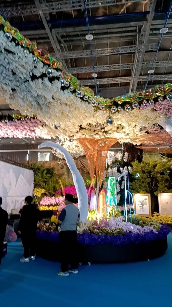 台南蘭花展