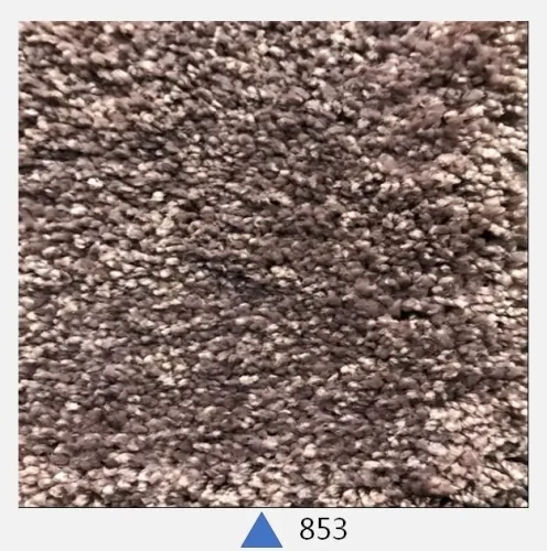 布拉琪2系列 7