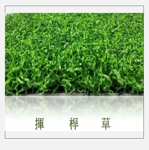 揮杆草