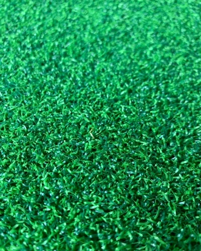 揮杆草 4