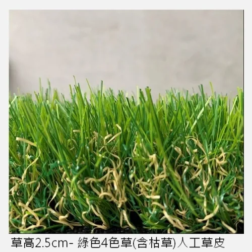 2.5cm 人工草皮 6